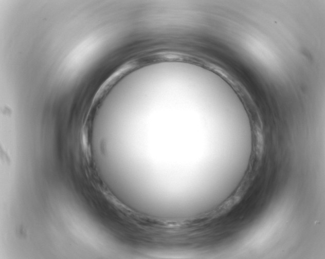 X0000091241198200708091125
