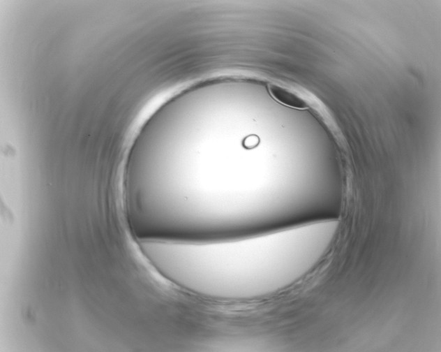 X0000091241199200708091125