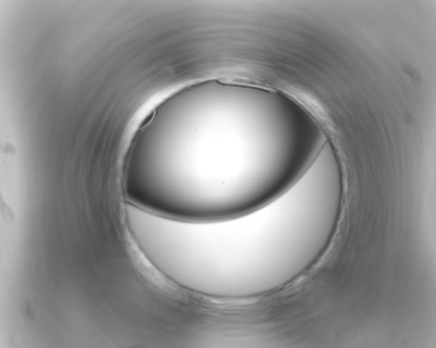 X0000091241200200708091125