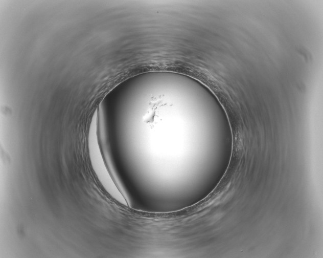 X0000091241202200708091125