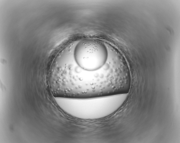X0000091241205200708091125