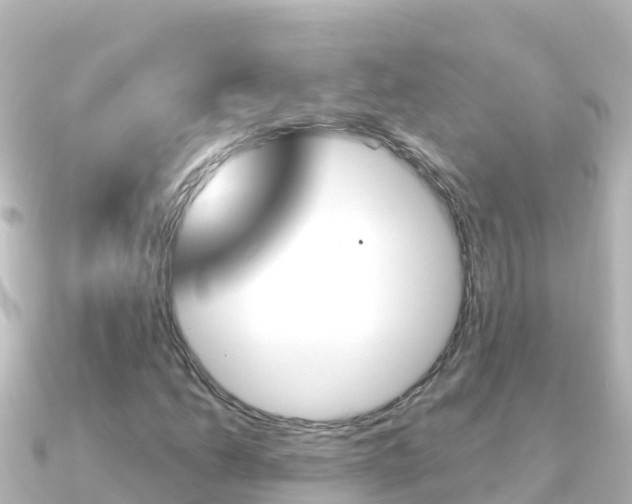 X0000091241206200708091125