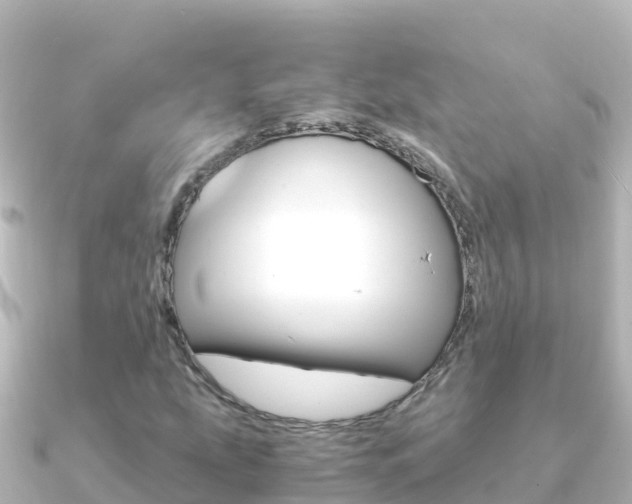 X0000091241207200708091125