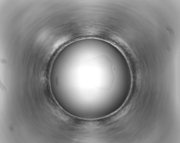 X0000091241210200708091125