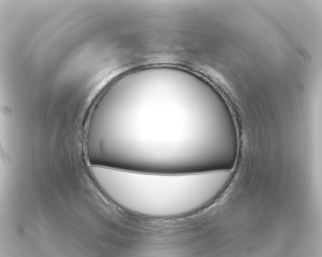 X0000091241212200708091125