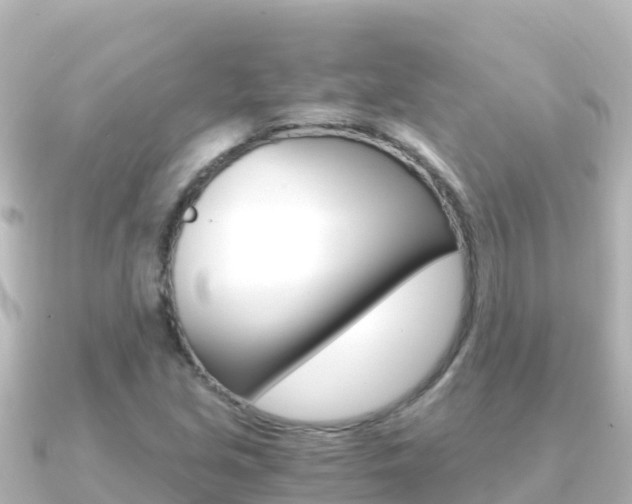 X0000091241213200708091125
