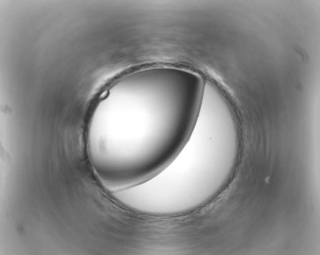 X0000091241214200708091125