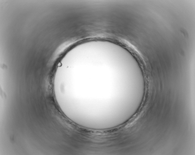 X0000091241215200708091125