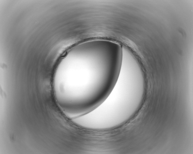 X0000091241218200708091125