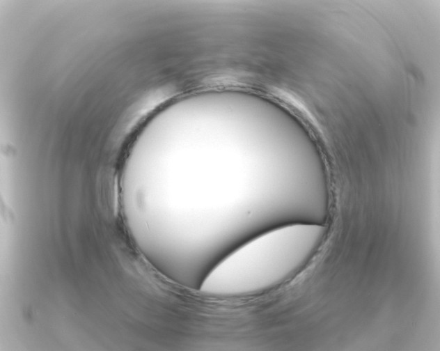 X0000091241219200708091125