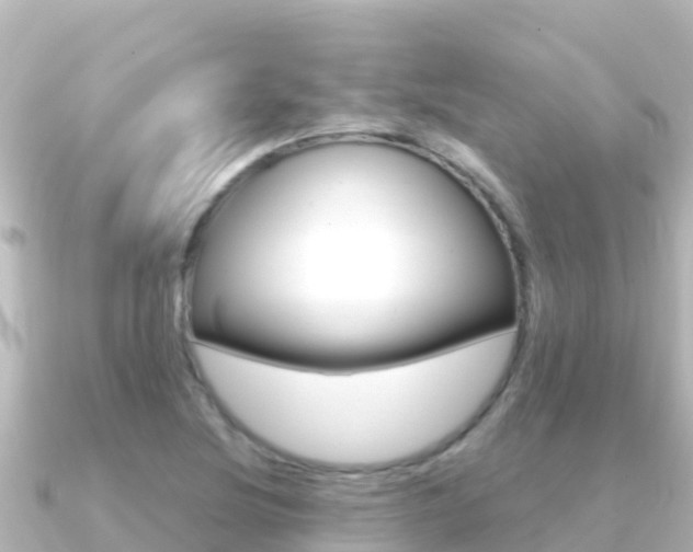X0000091241220200708091125