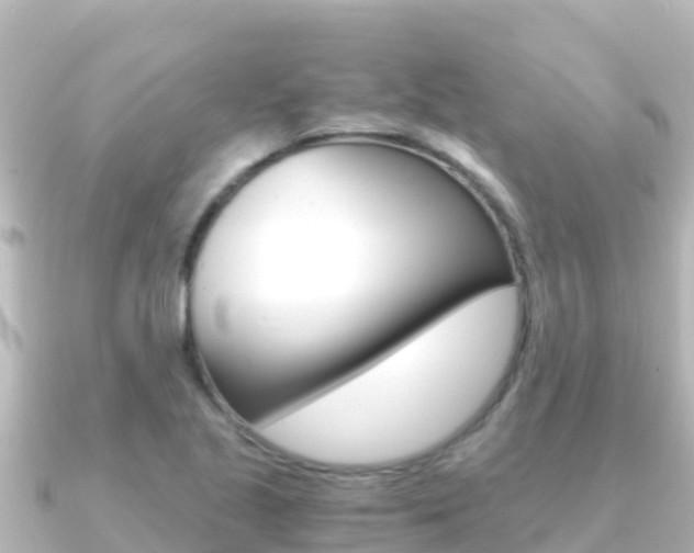 X0000091241221200708091125