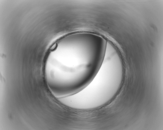 X0000091241222200708091125