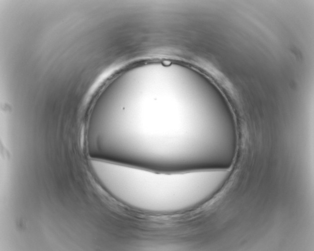 X0000091241224200708091125