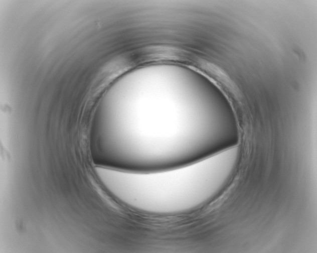 X0000091241225200708091125