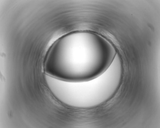 X0000091241226200708091125