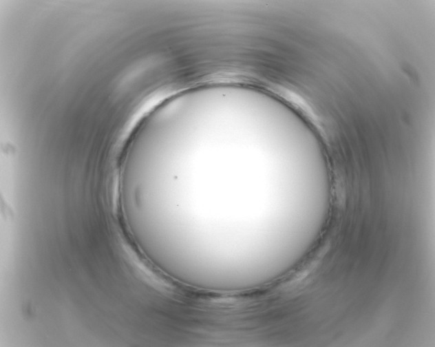X0000091241227200708091125