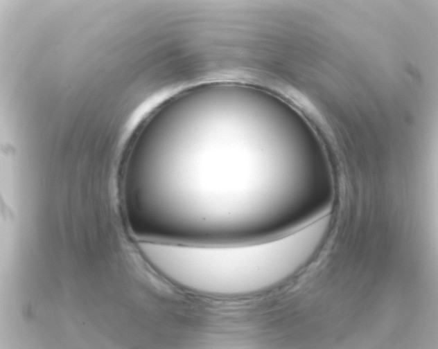X0000091241230200708091125