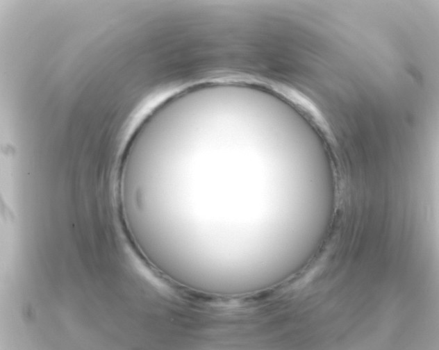 X0000091241231200708091125