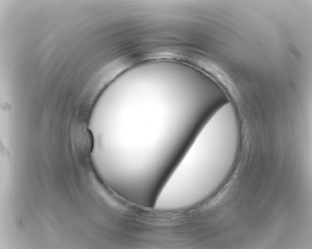 X0000091241233200708091125