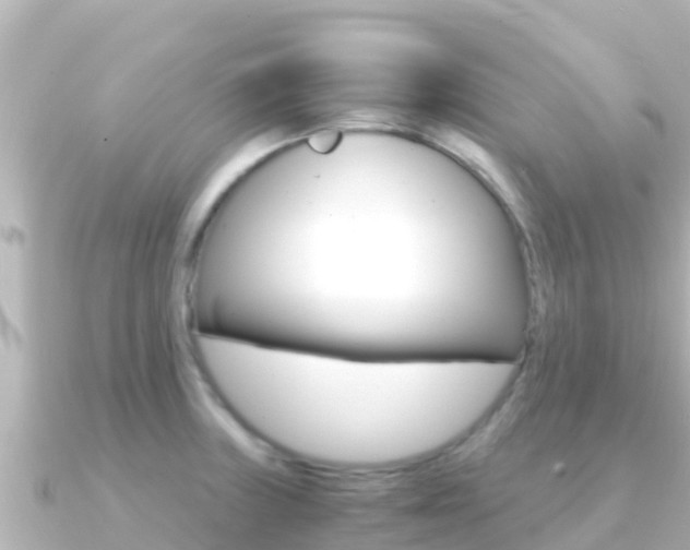 X0000091241235200708091125
