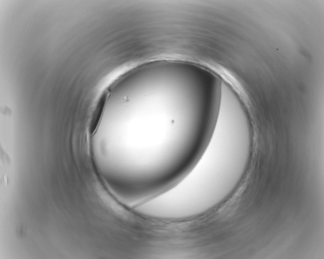 X0000091241238200708091125