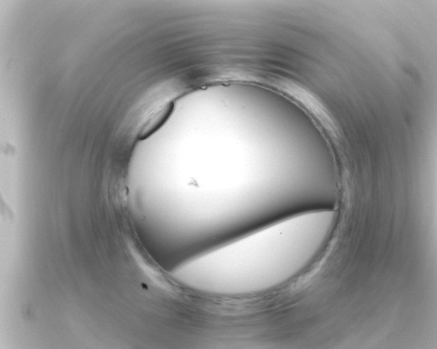 X0000091241241200708091125