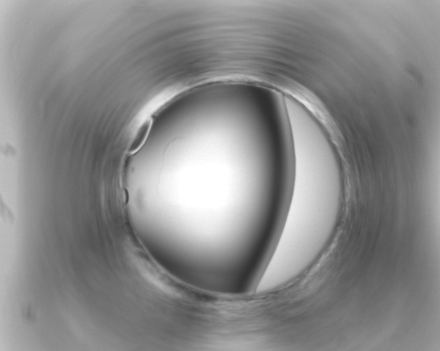 X0000091241242200708091125