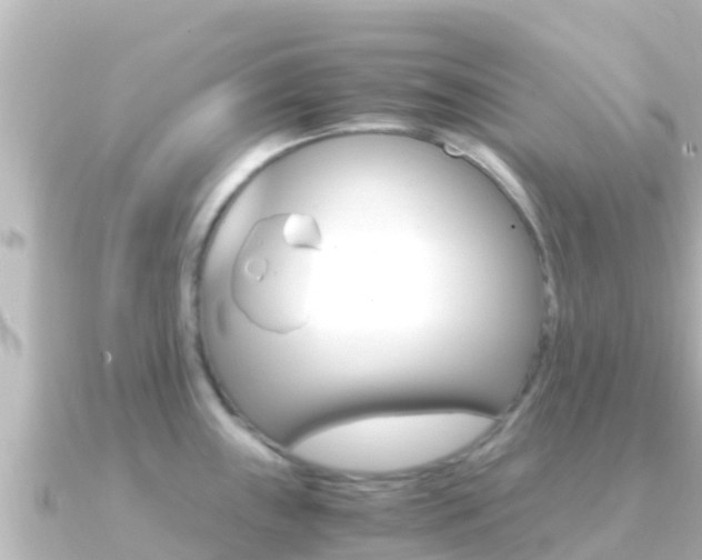 X0000091241243200708091125