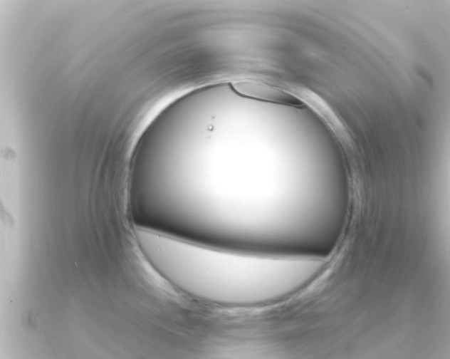 X0000091241244200708091125