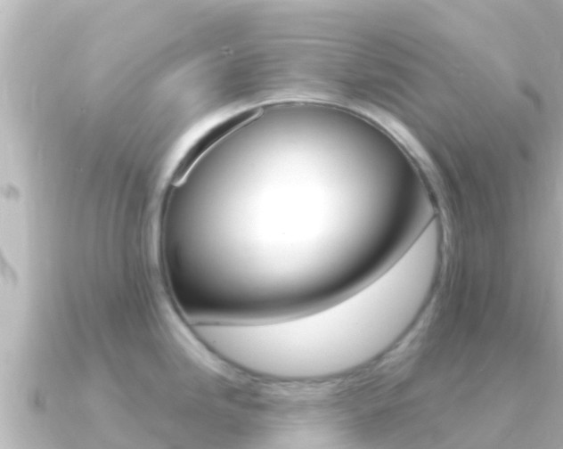 X0000091241246200708091125