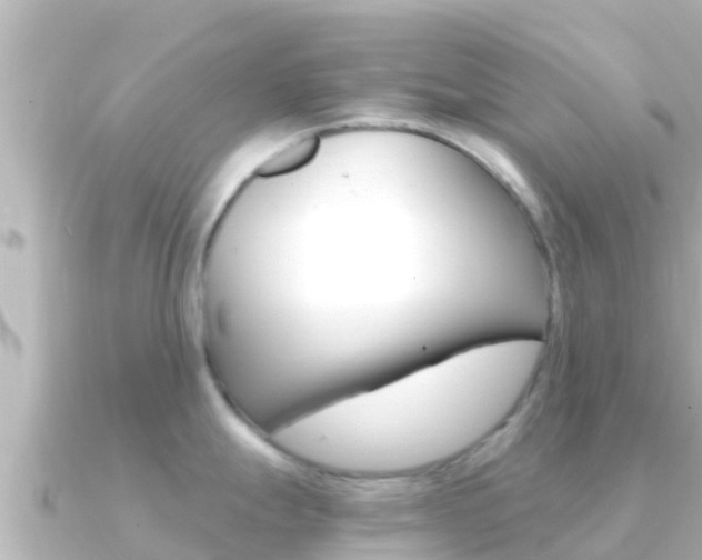 X0000091241247200708091125