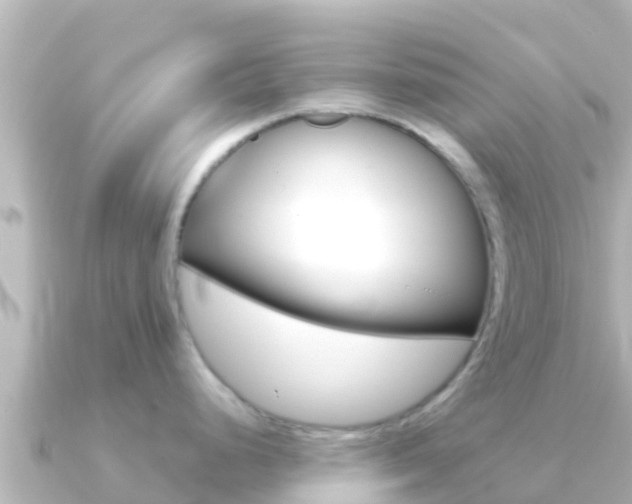 X0000091241248200708091125