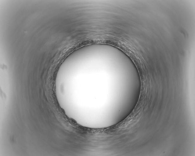 X0000091241249200708091125