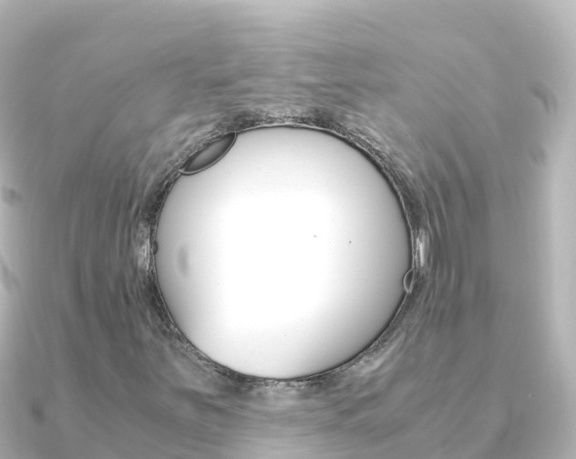 X0000091241251200708091125