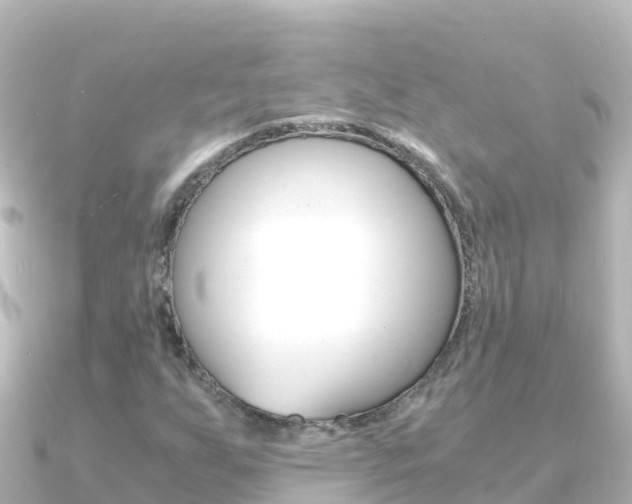 X0000091241255200708091125