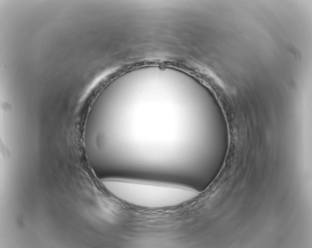 X0000091241256200708091125
