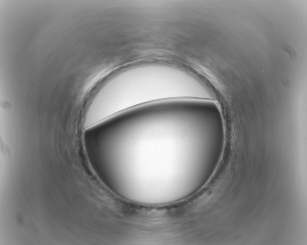 X0000091241261200708091125