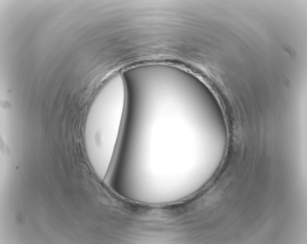 X0000091241265200708091125