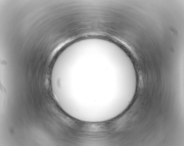 X0000091241266200708091125