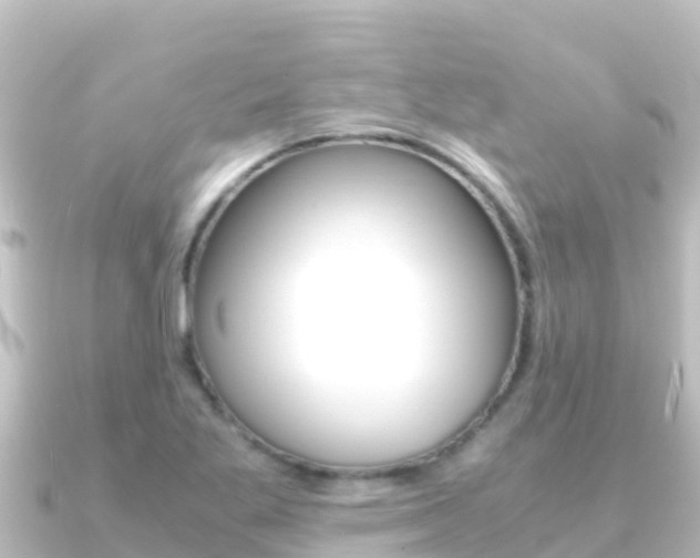 X0000091241269200708091125