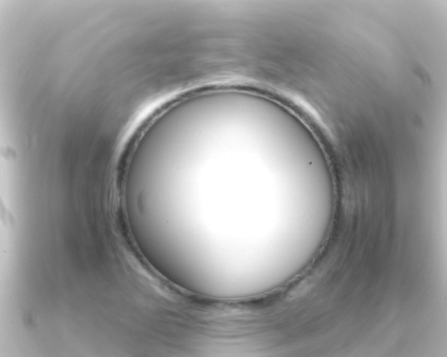 X0000091241270200708091125