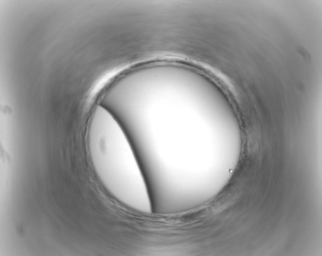 X0000091241271200708091125