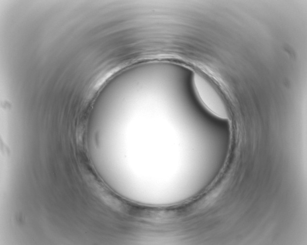 X0000091241273200708091124
