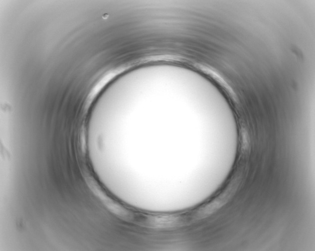 X0000091241274200708091124