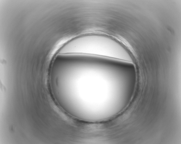 X0000091241277200708091124