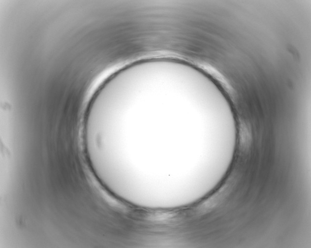 X0000091241278200708091124