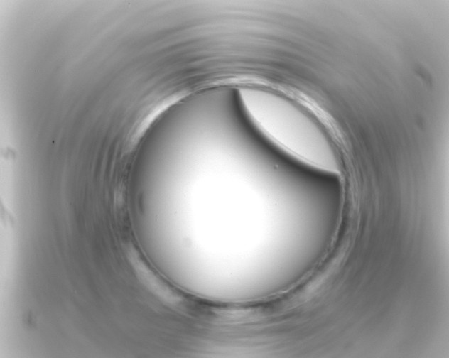 X0000091241281200708091124