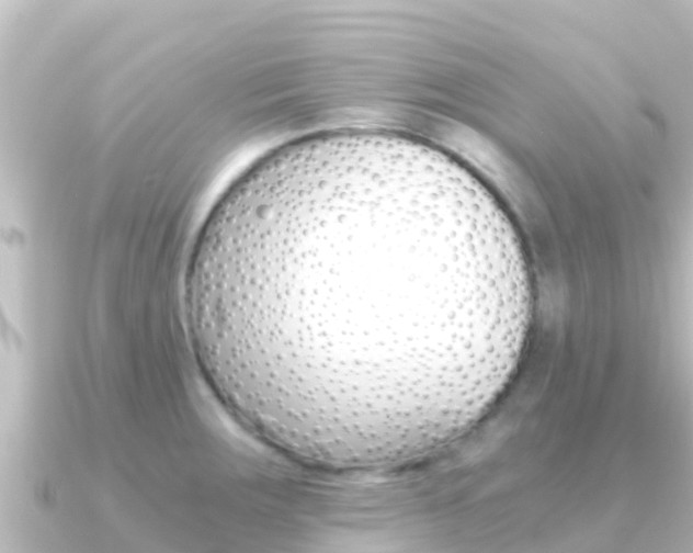 X0000091241283200708091124