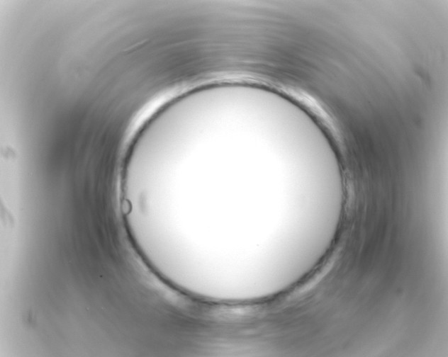 X0000091241286200708091124